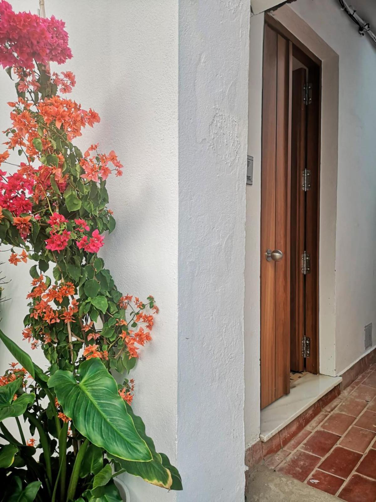 Erizo 3 Loft Diafano En El Centro Historico Apartman Tarifa Kültér fotó